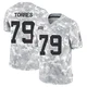 Youth Nick Torres Kansas City Chiefs ＃79 Limited Arctic Camo 2024 Salute to Service Jersey